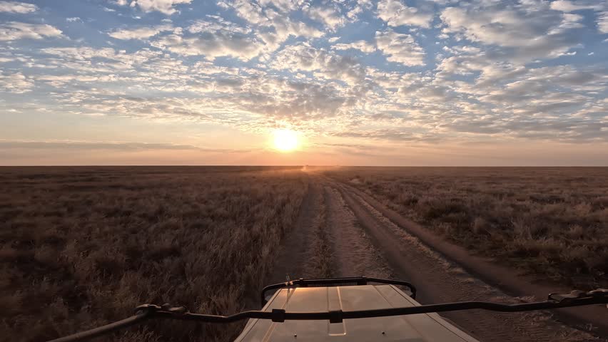 Safari drive at sunrise in Serengeti National Park, Tanzania