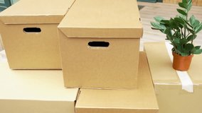 Minimalist composition featuring cardboard boxes stacked beside a small potted plant, perfect for moving, storage, or eco-friendly lifestyle concepts.
 - Powered by Shutterstock - Get 15% off with code: PIKWIZARD15