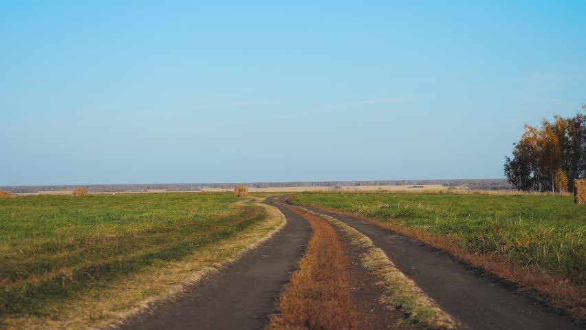 Country Road and Clear Blue Sky