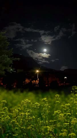 Moonlit Night Over a Field of Yellow Flowers Under the Clouds
