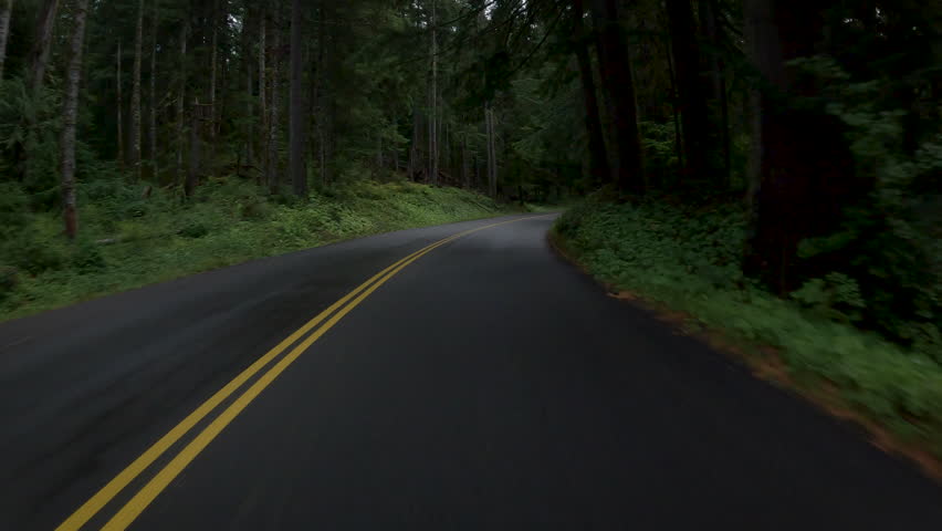 Forest road of Washington State