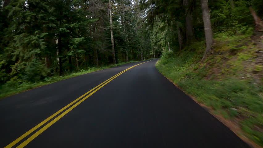 Forest road of Washington State