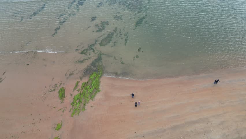 Playful Aerial Drone Footage of a Dog Joyfully Running and Playing Fetch with a Person Throwing a Stick into the Sea at West Sands Beach in St Andrews, Scotland, Capturing the Fun, Energy, and Scenic 