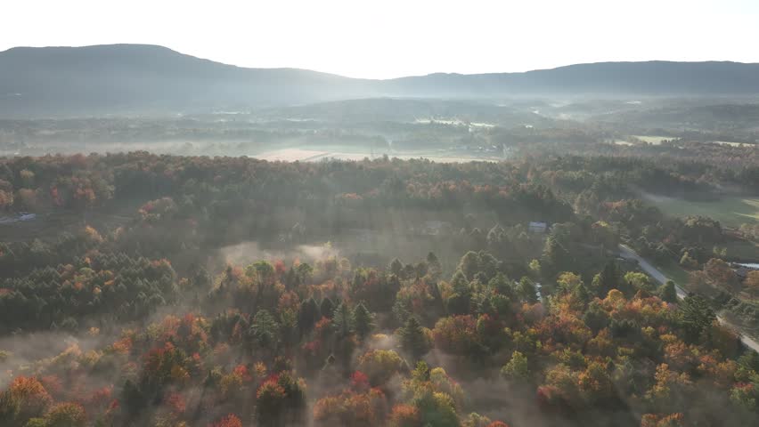 Aerial view of Vermont forest at sunrise with mountains in background and fog hovering over treetops.