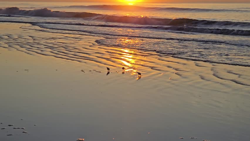 Myrtle Beach, South Carolina – a famous coastal resort city known for its wide sandy beaches, Atlantic Ocean views, boardwalk, lively nightlife, and family-friendly vacation atmosphere.