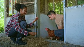 Young farmers collecting eggs on chicken farm, Farm education moment for young adults, Countryside organic farming activity. Learning of teenagers to rural chicken farming lifestyle scene. - Powered by Shutterstock - Get 15% off with code: PIKWIZARD15