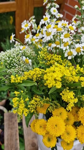 A short video of a beautiful bouquet composed of asters and daisies. A yellow and white combination.