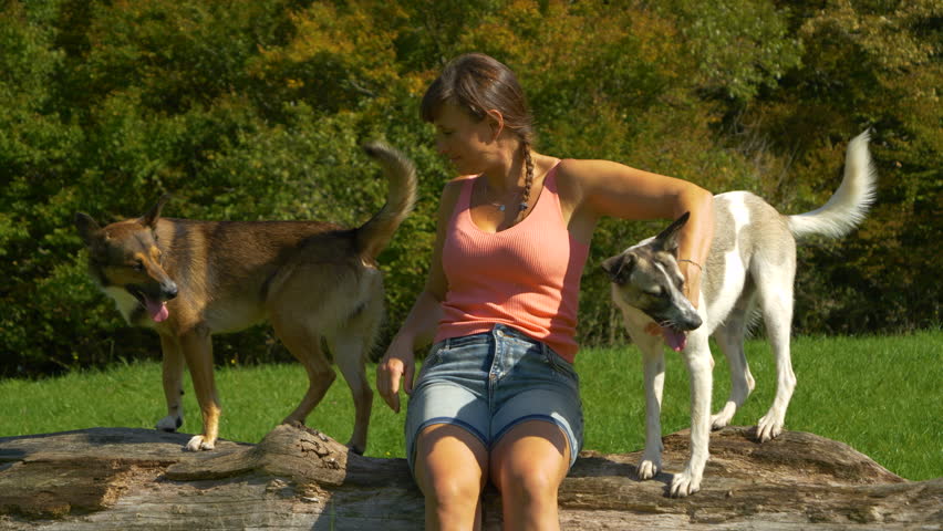 PORTRAIT Sitting on fallen tree in meadow, woman kisses one of her dogs and hugs the other. Heartwarming moment of affection and companionship between owner and her pets framed by autumn forest colors
