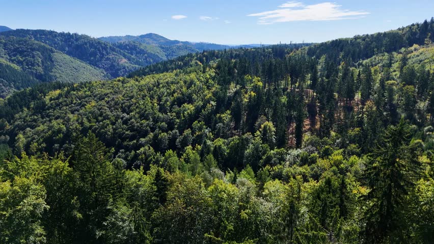 Aerial view of lush green forest with mountains creating a serene nature setting, Sitka, Alaska, USA.