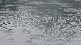 Rain in Puddle, Rainy Weather Background, Slow motion - Powered by Shutterstock - Get 15% off with code: PIKWIZARD15