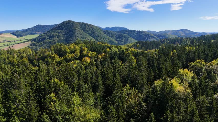 Aerial view of lush green forest with mountains creating a serene nature setting, Sitka, Alaska, USA.
