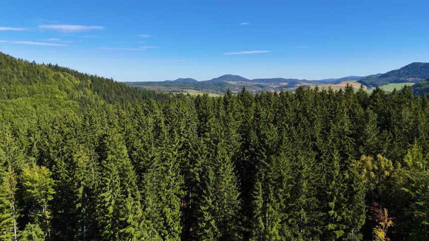 Drone view of autumn coniferous forest hills mountains Poland