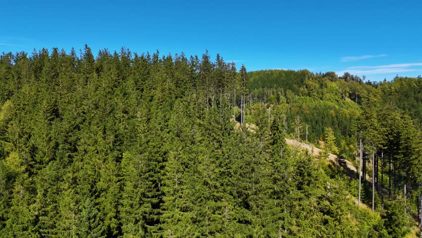 Drone view of autumn coniferous forest hills mountains Poland