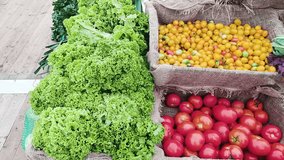 A vibrant, colorful display of fresh organic vegetables in rustic burlap baskets, including tomatoes, cucumbers, basil, and leeks, at a farm stand - Powered by Shutterstock - Get 15% off with code: PIKWIZARD15