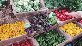 A vibrant, colorful display of fresh organic vegetables in rustic burlap baskets, including tomatoes, cucumbers, basil, and leeks, at a farm stand - Powered by Shutterstock - Get 15% off with code: PIKWIZARD15