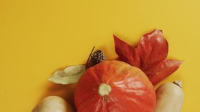 Frames displaying pumpkin with gourds leaf pine cone and Happy Thanksgiving text celebrating autumn. Autumnal, harvest, seasonal, rustic, centerpiece, decorative, warm - Powered by Shutterstock - Get 15% off with code: PIKWIZARD15