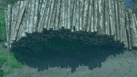 Opening drone shot showing log pile, social icons popping floating, shuffling, scaling toward peak. Nature, forestry, digital engagement, social media, analytics, environmental, rural - Powered by Shutterstock - Get 15% off with code: PIKWIZARD15