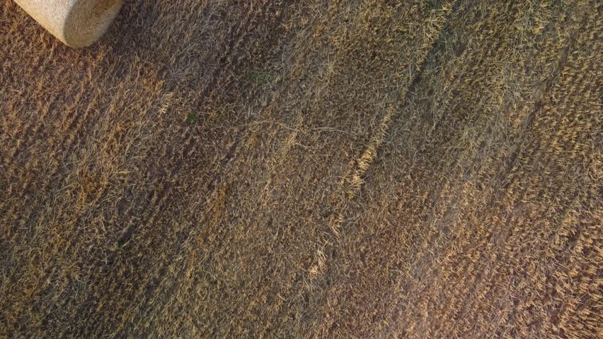 Aerial view of a hay bale in a dry golden field. Perfect for agricultural or rural-themed projects.
