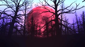 Spooky Red Moon Night in Haunted Woods - Powered by Shutterstock - Get 15% off with code: PIKWIZARD15