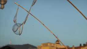 Colorful soap bubbles floating against the blue evening sky during a street performance - Powered by Shutterstock - Get 15% off with code: PIKWIZARD15