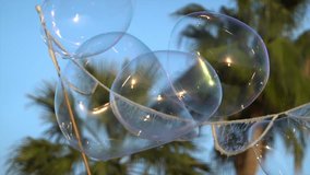Colorful soap bubbles floating against the blue evening sky during a street performance - Powered by Shutterstock - Get 15% off with code: PIKWIZARD15