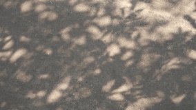 Abstract gray silhouette of tree branch. Sand gravel floor background. Transparent blur shade of tropical leaves sunlight. Closeup. Plant shadow motion by wind. Natural light bokeh. Overlay effect 4K - Powered by Shutterstock - Get 15% off with code: PIKWIZARD15