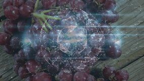 Ripe grapes activating digital globe appearing above, rotating nodes lighting wine glass descent. Technology, innovation, digital, futuristic, organic, luxury, sophistication - Powered by Shutterstock - Get 15% off with code: PIKWIZARD15