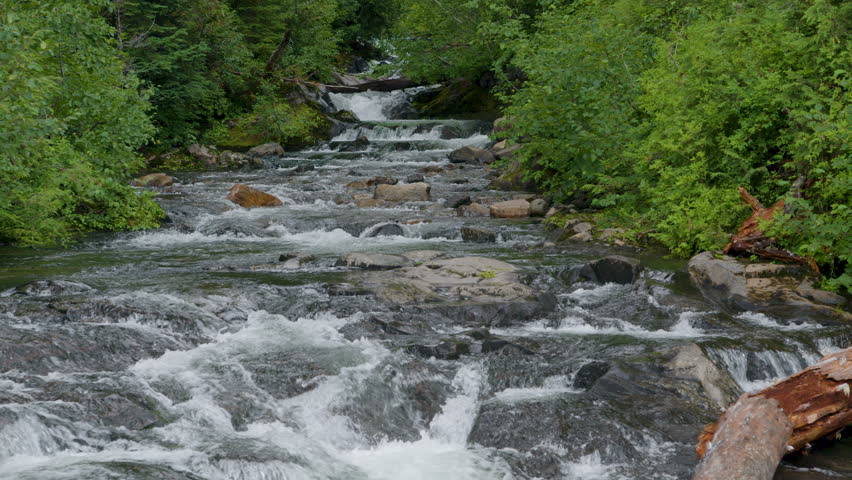 A stream in Mont Rainier National Park