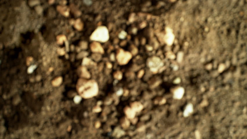 Super Slow Motion Shot of Exploding Soil with Rocks Towards Camera at 1000fps.