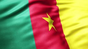 Flag of Cameroon Animation Stock Video - Cameroon Flag Waving in Loop and Fabric Textured - 4K - Powered by Shutterstock - Get 15% off with code: PIKWIZARD15