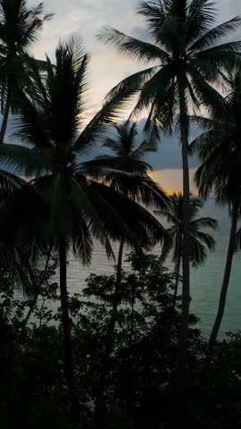 Drone Flying Forward Through Palm Trees Toward Ocean Horizon at Sunset Captured from Aerial Perspective with Orange Light Breaking Through Clouds.