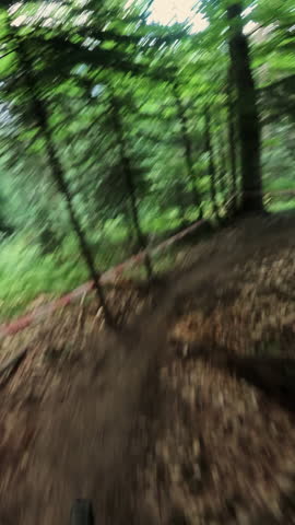 Vertical Video. Mountain biker navigating a winding forest trail with vibrant greenery and dynamic motion