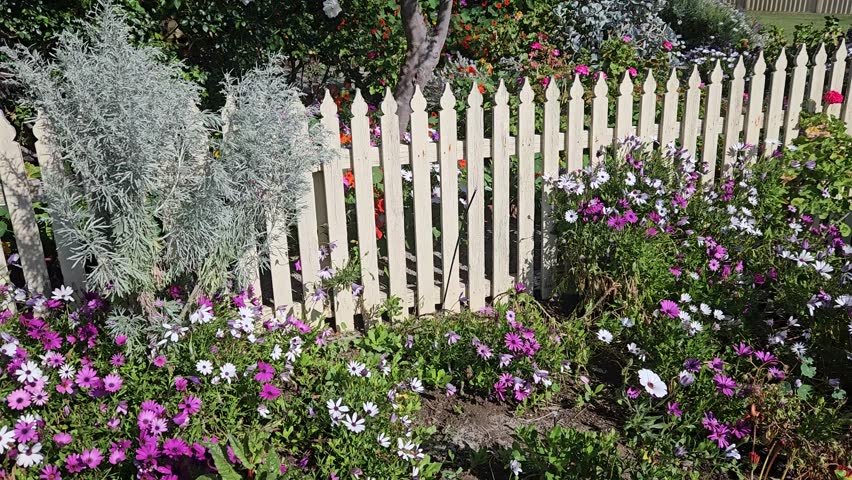 It's spring time and the gottage gardens are in full bloom the flower colors range from white to pink  red and yellow .