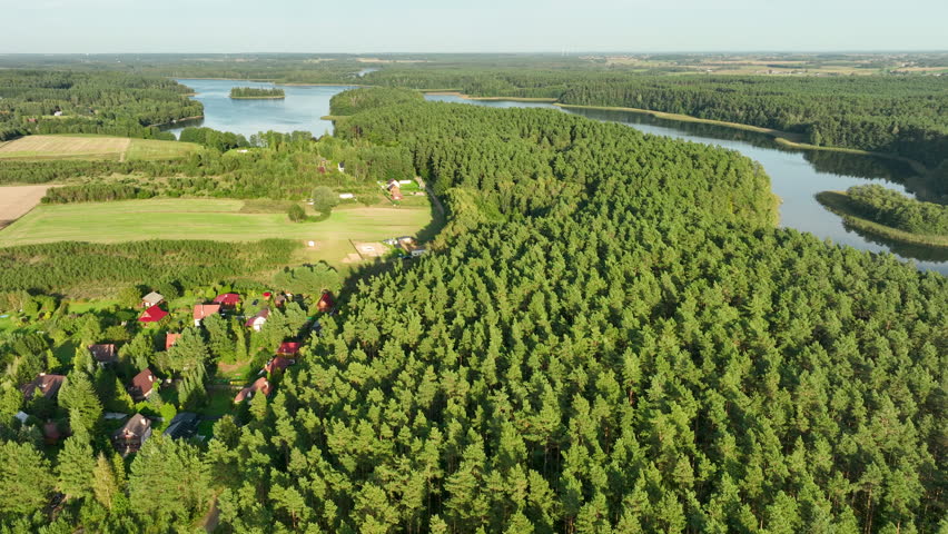 Wide drone shot capturing a peninsula of dense pine forest jutting into a lake, bordered by a clearing, green fields, and a small residential area on the left.