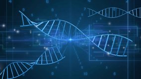 Bright center starting DNA helices emerging, rotating with digit grid frames forming visualization. Futuristic, technology, animation, data, science, digital, analytics - Powered by Shutterstock - Get 15% off with code: PIKWIZARD15