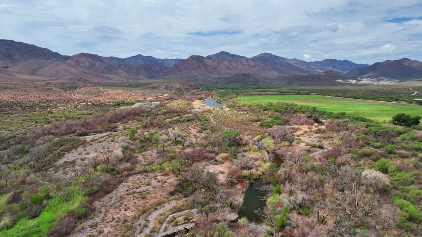 Aerial view of the winding river and lush green fields contrasting with the arid landscape near Horseshoe Reservoir, Arizona, United States.
