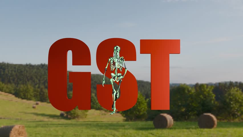 skeleton GST soul floor spin grass land .