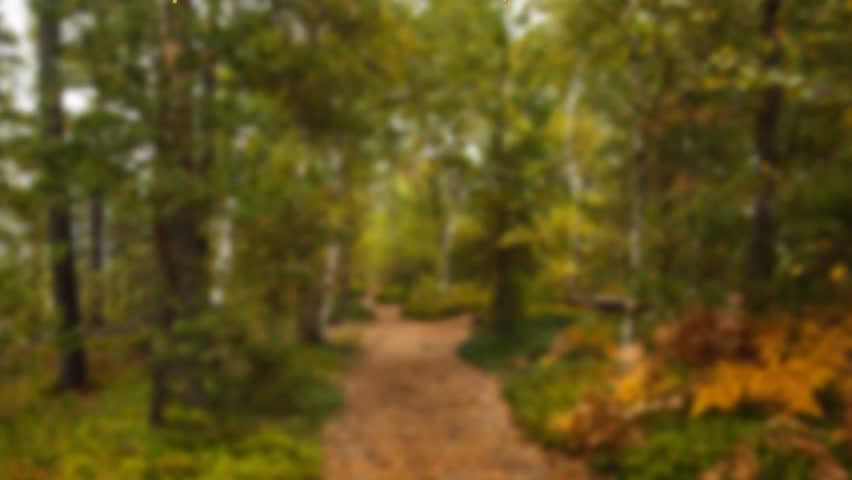 Opening path revealing golden 