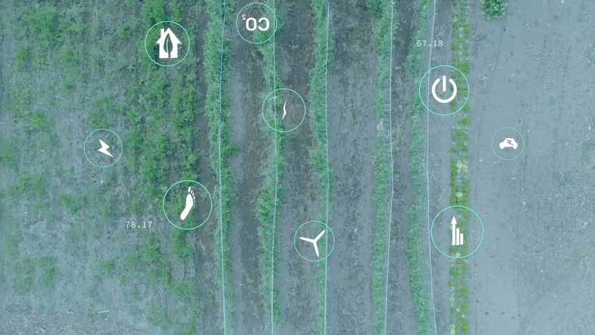 Farm technicians walking field furrows and updating live crop metrics with floating icons fading in. Agriculture, precision farming, environmental monitoring, sustainability, aerial view, technology - Powered by Shutterstock - Get 15% off with code: PIKWIZARD15