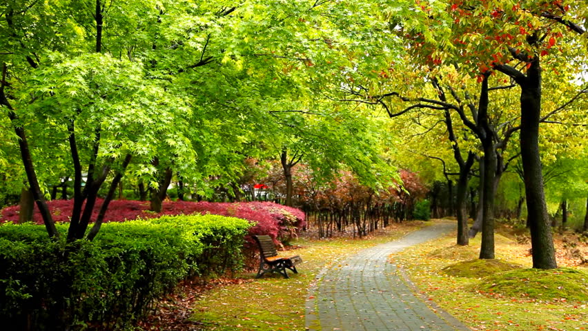 Green city park. Shanghai, China