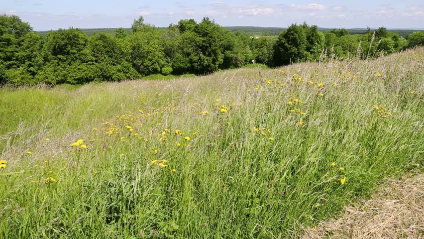 Fort Douaumont, Verdun, France, entrance to the building, ruins, and surrounding landscape.