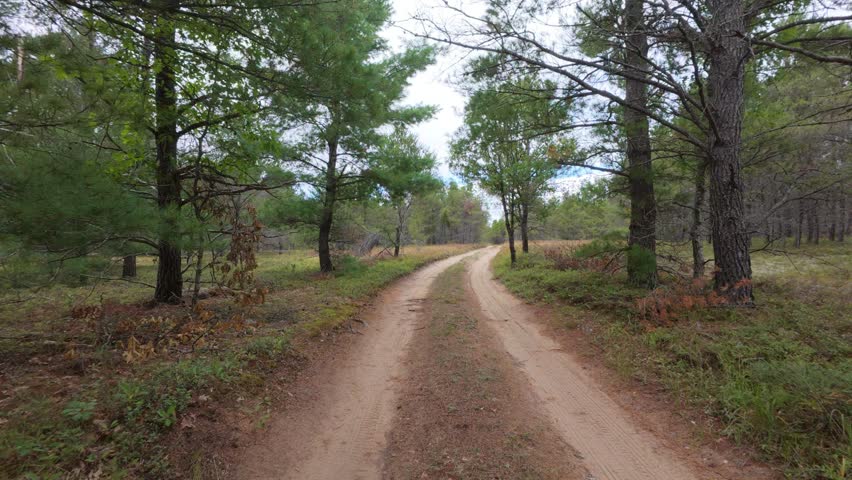 POV shot of driving down a 2 track road lined with pines in northern Michigan at Guides Rest on the Au Sable River,