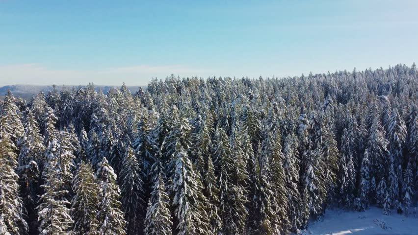 Flyover a frozen Lake - Winter Wonderland, Black Forest Germany