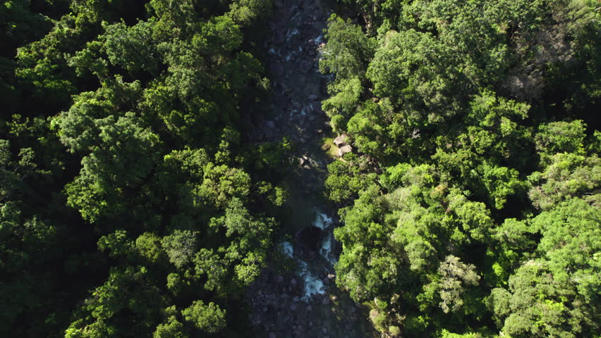 Top-down aerial along the Jinkalmu River, Daintree Rainforest, Australia