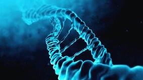 3D loop animation of DNA molecule structure with double helix, genetics and biology concept, perfect for healthcare, science research, medical education, biotechnology, and molecular visuals. - Powered by Shutterstock - Get 15% off with code: PIKWIZARD15