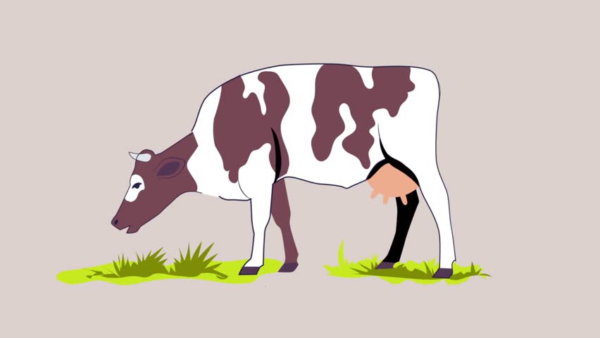 video background featuring adorable cows grazing, walking, and relaxing in a peaceful farm or meadow setting, perfect for children’s content, educational videos, farm life projects, nature media.