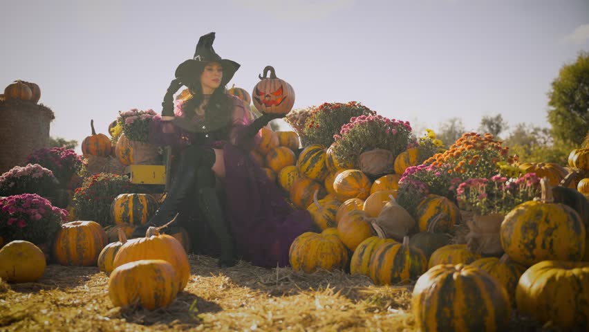 real person happy beauty young woman witch with orange pumpkin carved Jack o Lantern. fantasy smiling face mystery girl in purple dress black hat. Halloween holiday harvest pumpkins Thanksgiving Day.