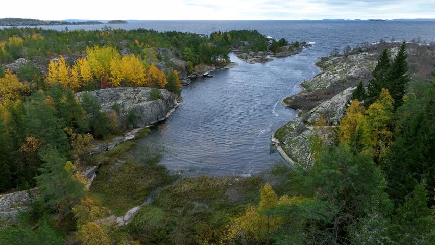 A high angle aerial view of a wide, narrow water inlet carved through rocky shores and pine forests, with vibrant yellow autumn foliage, connecting to a large, choppy lake or sea