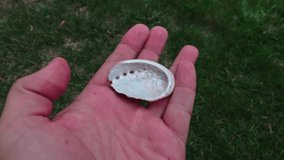 Close-Up of Hand Holding a Small, Iridescent Abalone Shell - Powered by Shutterstock - Get 15% off with code: PIKWIZARD15