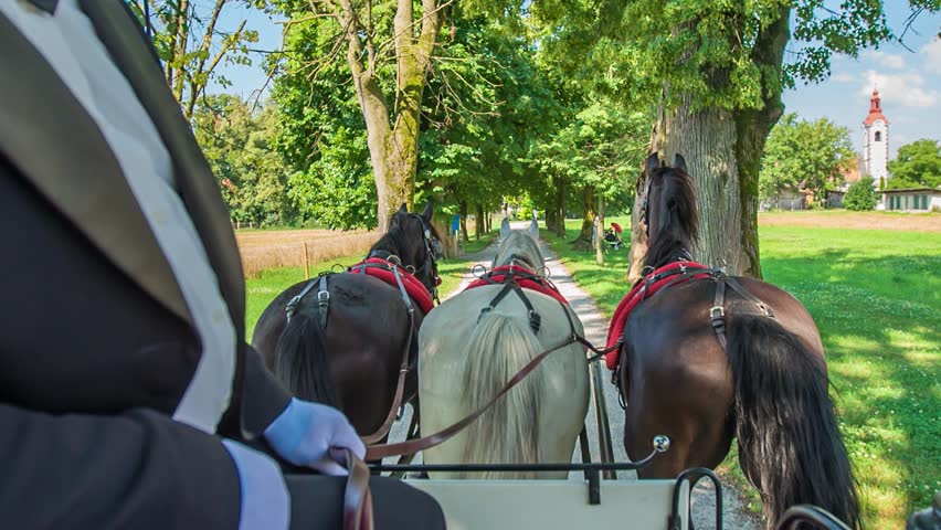 Three horses pulling wedding carriage on a countryside road.